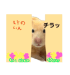 キンクマのもち様 vol.5（個別スタンプ：19）