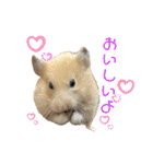 キンクマのもち様 vol.5（個別スタンプ：32）