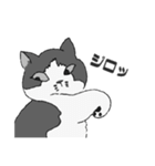 にゃっぴにゃっぴぶー！（個別スタンプ：1）