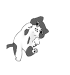 にゃっぴにゃっぴぶー！（個別スタンプ：5）