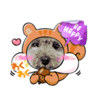 モモ君スタンプ（個別スタンプ：2）