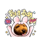 モモ君スタンプ（個別スタンプ：3）