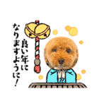 モモ君スタンプ（個別スタンプ：4）