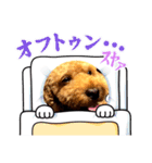 モモ君スタンプ（個別スタンプ：9）