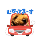 モモ君スタンプ（個別スタンプ：10）