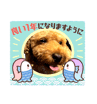 モモ君スタンプ（個別スタンプ：16）