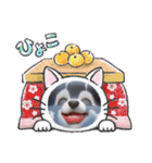 ティアラさんのかわいいスタンプだよ（個別スタンプ：13）