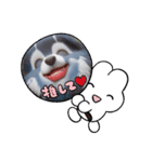 ティアラさんのかわいいスタンプだよ（個別スタンプ：15）