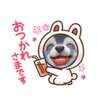 ティアラさんのかわいいスタンプだよ（個別スタンプ：21）