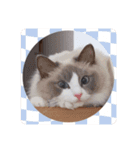 のえみスタンプ2（個別スタンプ：10）