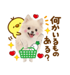 かわいい犬♡家族連絡♡ポメ♡ずっと使える（個別スタンプ：26）