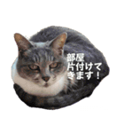 僕らは今日も宇宙船の中（個別スタンプ：7）