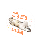 僕らは今日も宇宙船の中（個別スタンプ：8）