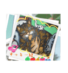 クリちゃん♂の日常（個別スタンプ：6）