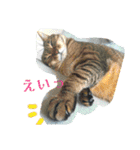 クリちゃん♂の日常（個別スタンプ：14）