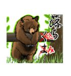 【珍スタ】猛獣クマ推し敬語～連続使用可熊（個別スタンプ：22）