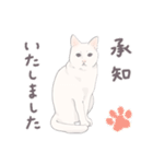 【敬語】猫ねこ日和(リアル猫＆ゆるねこ)（個別スタンプ：1）