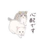 【敬語】猫ねこ日和(リアル猫＆ゆるねこ)（個別スタンプ：14）