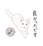 【敬語】猫ねこ日和(リアル猫＆ゆるねこ)（個別スタンプ：16）