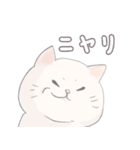 【敬語】猫ねこ日和(リアル猫＆ゆるねこ)（個別スタンプ：31）