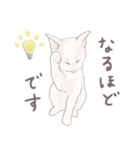 【敬語】猫ねこ日和(リアル猫＆ゆるねこ)（個別スタンプ：32）