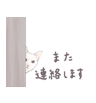 【敬語】猫ねこ日和(リアル猫＆ゆるねこ)（個別スタンプ：33）