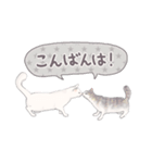 【敬語】猫ねこ日和(リアル猫＆ゆるねこ)（個別スタンプ：38）