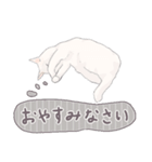 【敬語】猫ねこ日和(リアル猫＆ゆるねこ)（個別スタンプ：40）