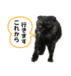 無敵のてんてんwithぷぅ（個別スタンプ：25）