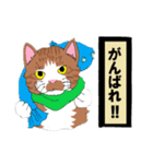 風来の猫達！！Vol.03（個別スタンプ：7）