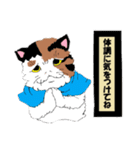 風来の猫達！！Vol.03（個別スタンプ：21）