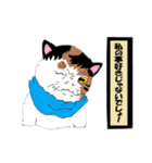 風来の猫達！！Vol.03（個別スタンプ：23）