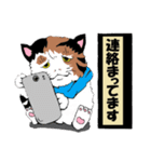 風来の猫達！！Vol.03（個別スタンプ：25）