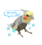 可愛すぎるオカメと犬（個別スタンプ：2）