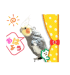 可愛すぎるオカメと犬（個別スタンプ：5）