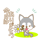 わんこ日和(ハスキー)-toYvu-（個別スタンプ：22）