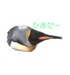 一日中毎日使える生き物スタンプ（個別スタンプ：1）