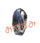 一日中毎日使える生き物スタンプ（個別スタンプ：6）