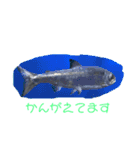 一日中毎日使える生き物スタンプ（個別スタンプ：22）