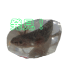 一日中毎日使える生き物スタンプ（個別スタンプ：23）