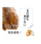 ハンバーグが全て解決（個別スタンプ：2）