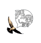 仕事するハヤブサ 野鳥好き専用スタンプ02（個別スタンプ：2）