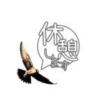 仕事するハヤブサ 野鳥好き専用スタンプ02（個別スタンプ：3）