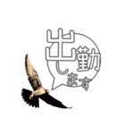 仕事するハヤブサ 野鳥好き専用スタンプ02（個別スタンプ：13）