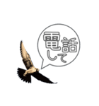 仕事するハヤブサ 野鳥好き専用スタンプ02（個別スタンプ：22）