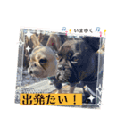 mikeとtyson第二弾♡（個別スタンプ：2）