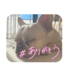 mikeとtyson第二弾♡（個別スタンプ：6）