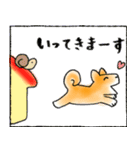 愛を伝える柴犬チロとチワワのリリィの物語（個別スタンプ：11）