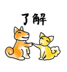 愛を伝える柴犬チロとチワワのリリィの物語（個別スタンプ：36）