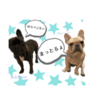 真育_大尊（個別スタンプ：6）